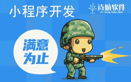 针对大型项目的标准流程有哪些？
